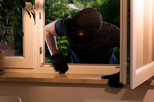 Kombisystem window burgler shield image